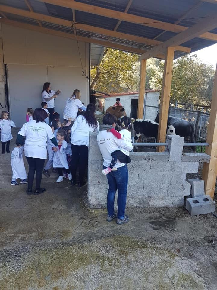 Aquara Tenuta Martino المظهر الخارجي الصورة