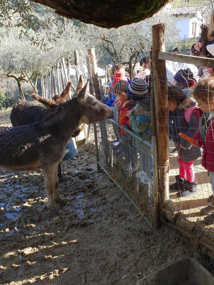 Aquara Tenuta Martino المظهر الخارجي الصورة